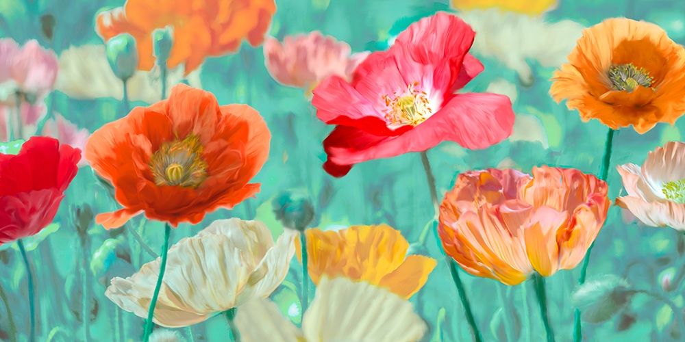 Poppies in Bloom art print by Ann Cynthia for $57.95 CAD