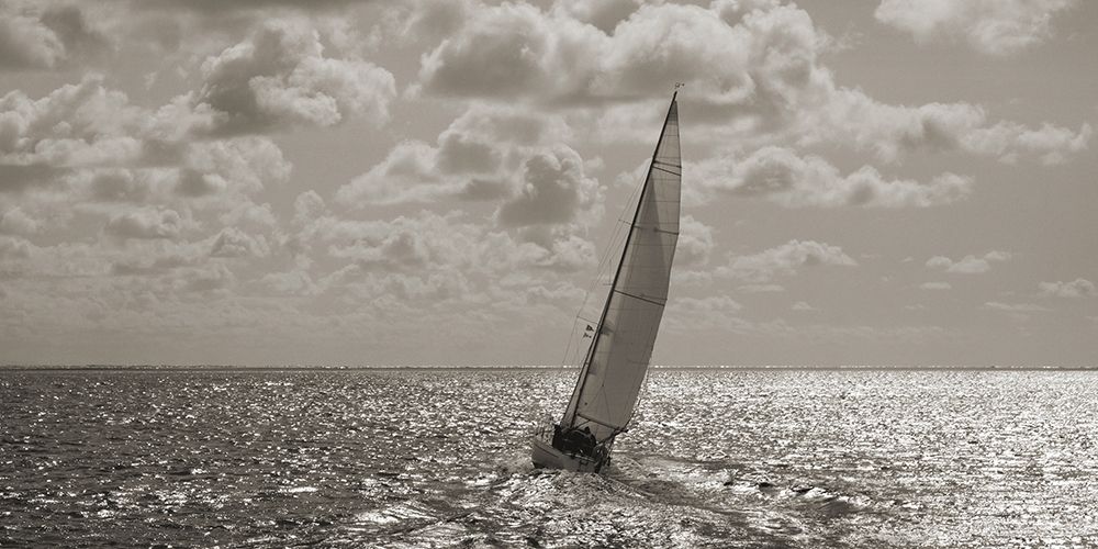 Sailing (detail) art print by Pangea Images for $57.95 CAD
