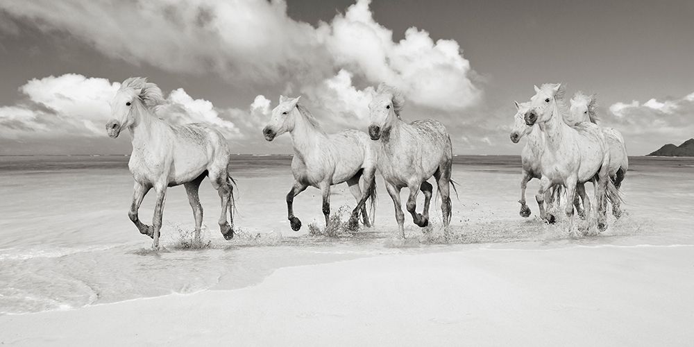 Band of Brothers- Lanikai Beach- Hawaii (BW) art print by Pangea Images for $57.95 CAD