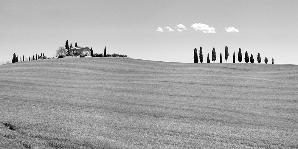 Strada del Brunello-Tuscany (BW) art print by Pangea Images for $57.95 CAD