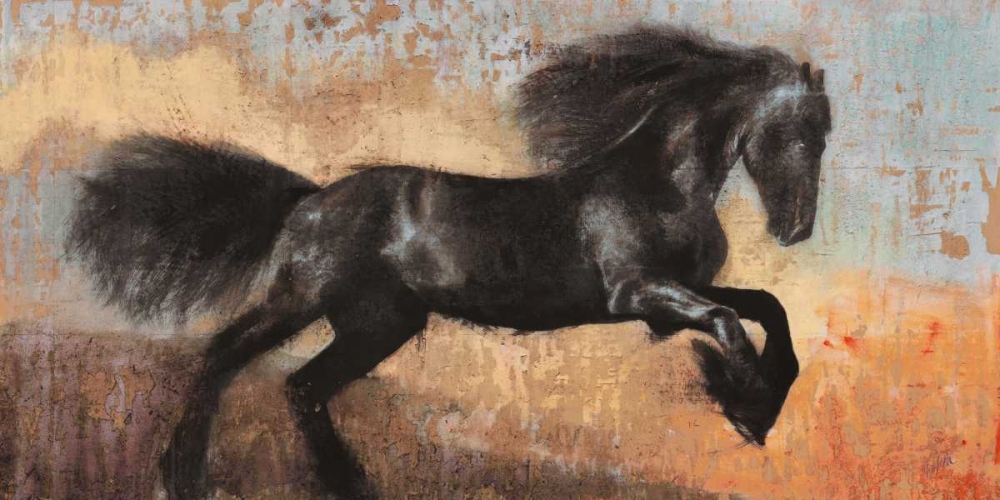 Black Stallion art print by Dario Moschetta for $57.95 CAD