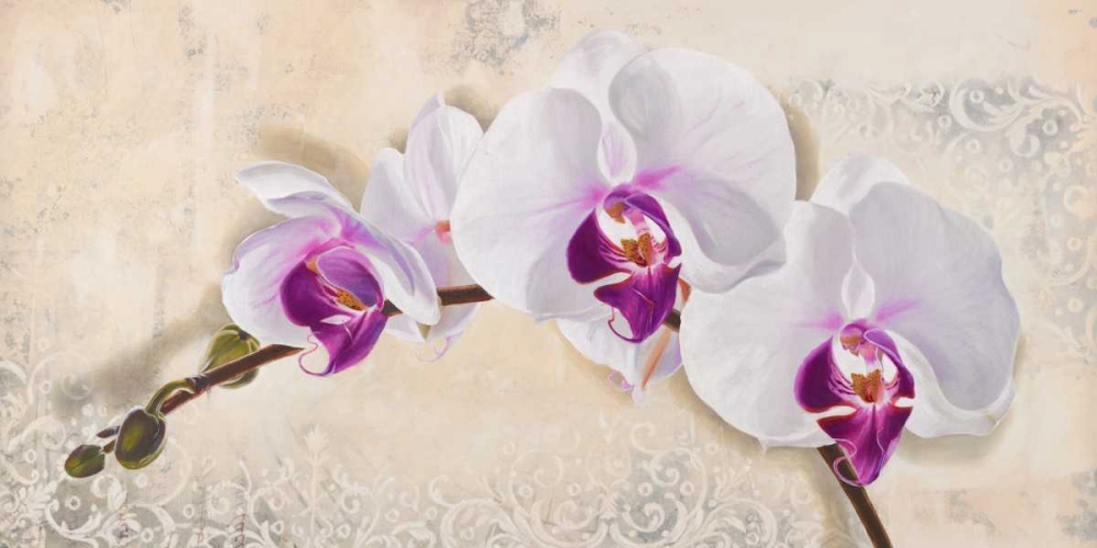 Royal Orchid art print by Elena Dolci for $57.95 CAD