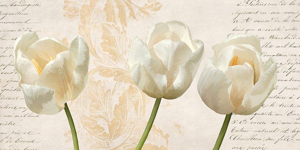 Three Tulips art print by Elena Dolci for $57.95 CAD