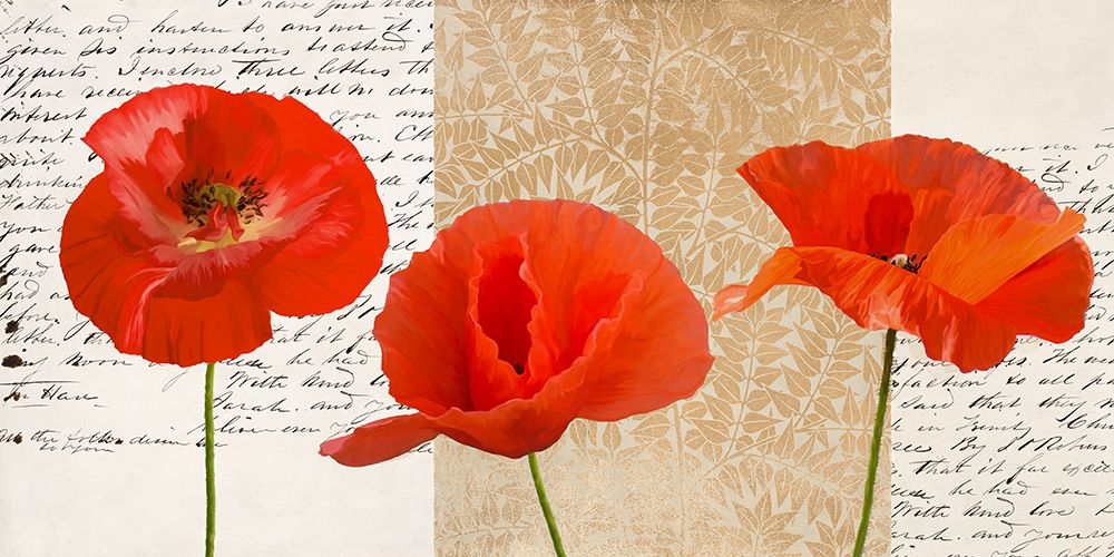 Three Poppies art print by Elena Dolci for $57.95 CAD