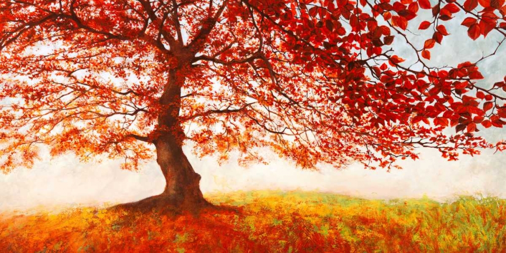 Red Leaves art print by Jan Eelder for $57.95 CAD