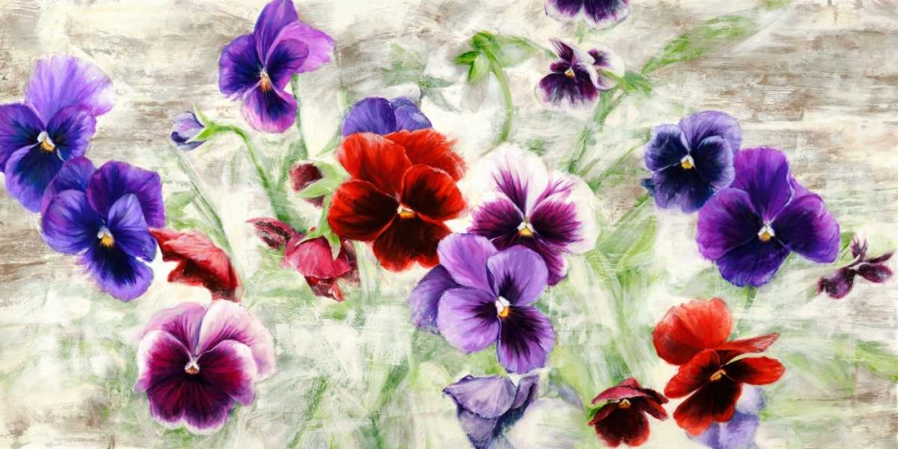 Field of Pansies art print by Jenny Thomlinson for $57.95 CAD