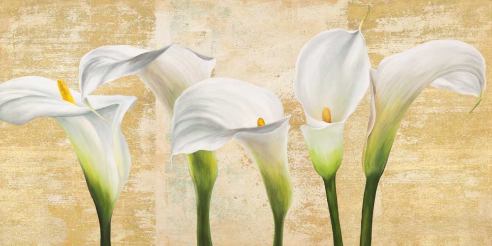 Callas on Gold (neutral variation) art print by Jenny Thomlinson for $57.95 CAD