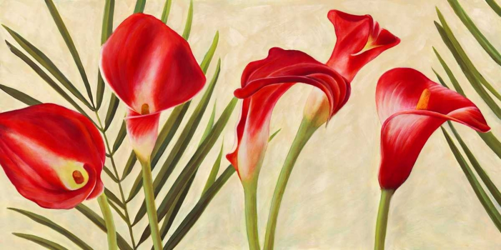 Red Callas art print by Jenny Thomlinson for $57.95 CAD