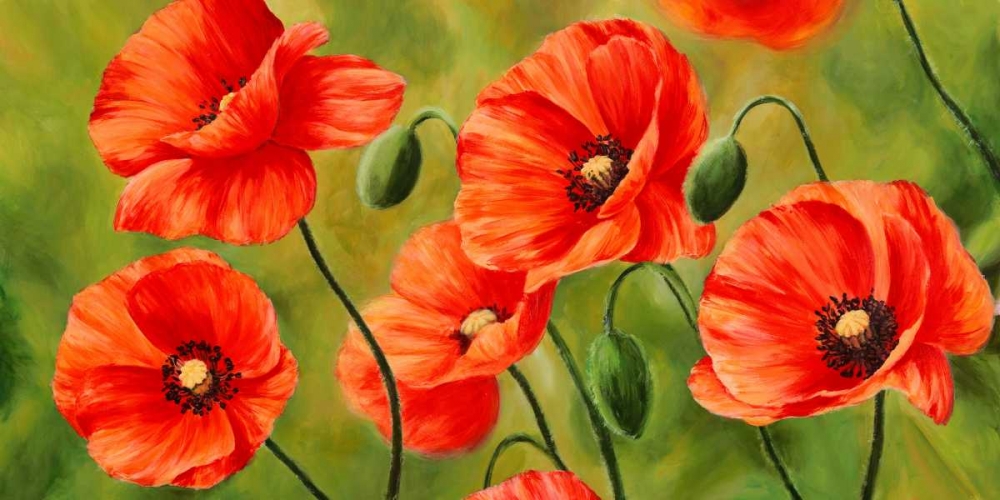 Field of Poppies art print by Luca Villa for $57.95 CAD