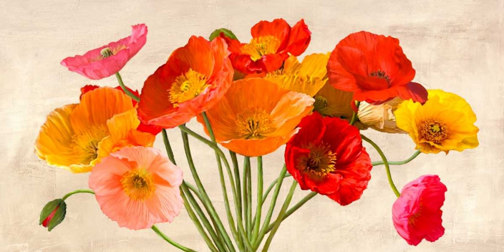 Poppies in Spring art print by Luca Villa for $57.95 CAD