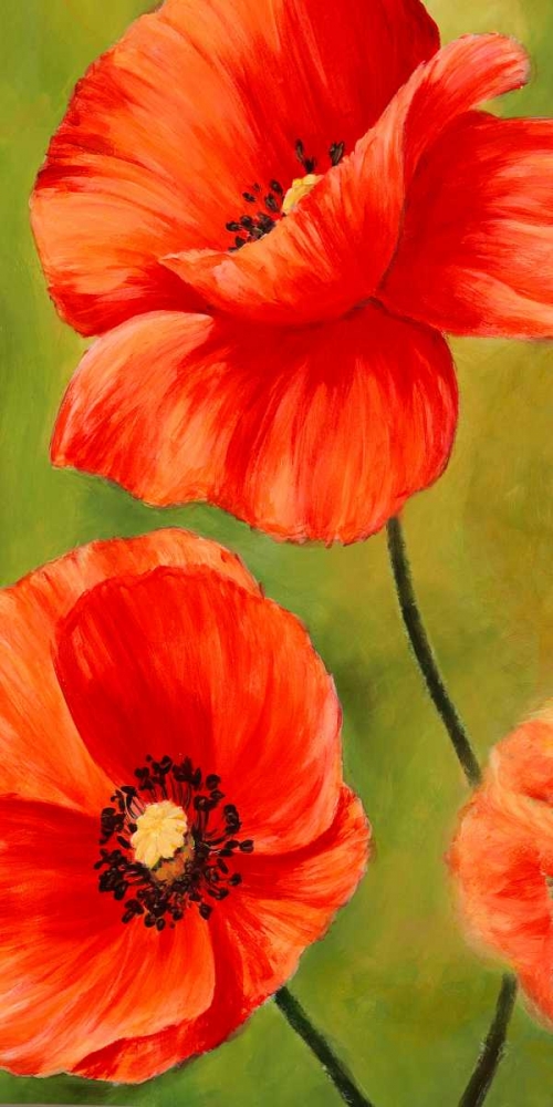 Poppies in the wind I art print by Luca Villa for $57.95 CAD
