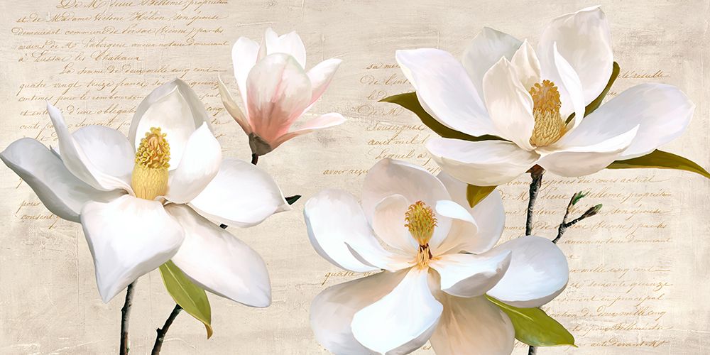 Ivory Magnolia art print by Luca Villa for $57.95 CAD