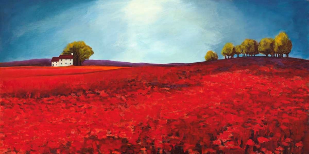Field of poppies art print by Philip Bloom for $57.95 CAD