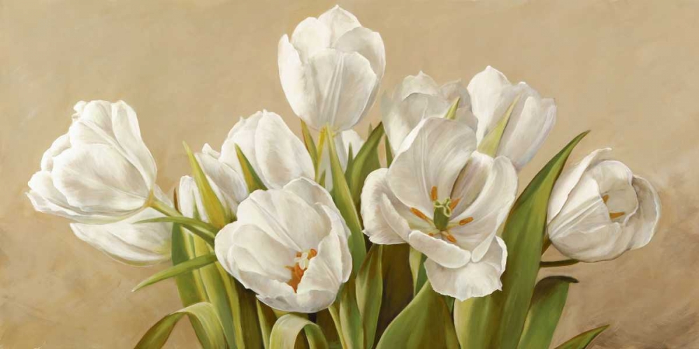 Tulipani bianchi art print by Serena Biffi for $57.95 CAD