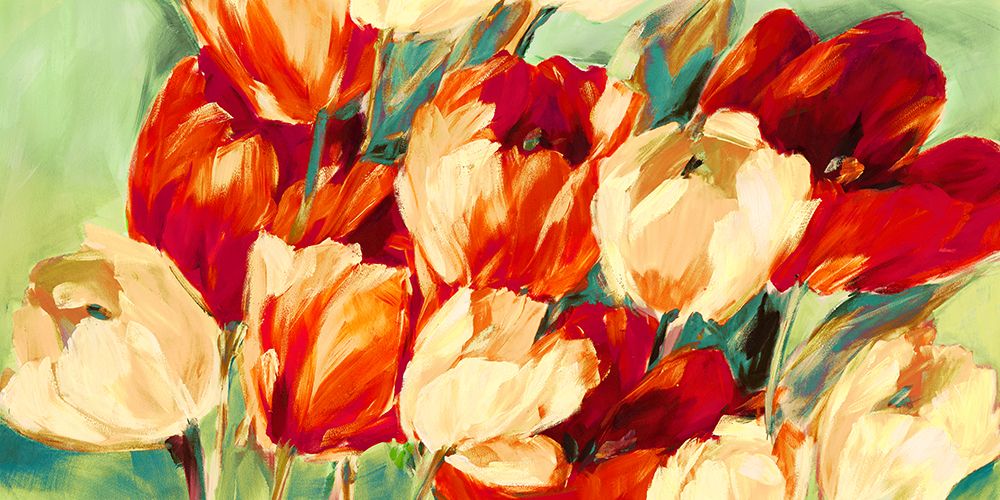 Red And White Tulips art print by Jim Stone for $57.95 CAD