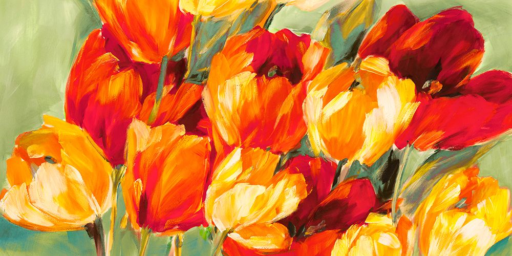 Field of Tulips art print by Jim Stone for $57.95 CAD