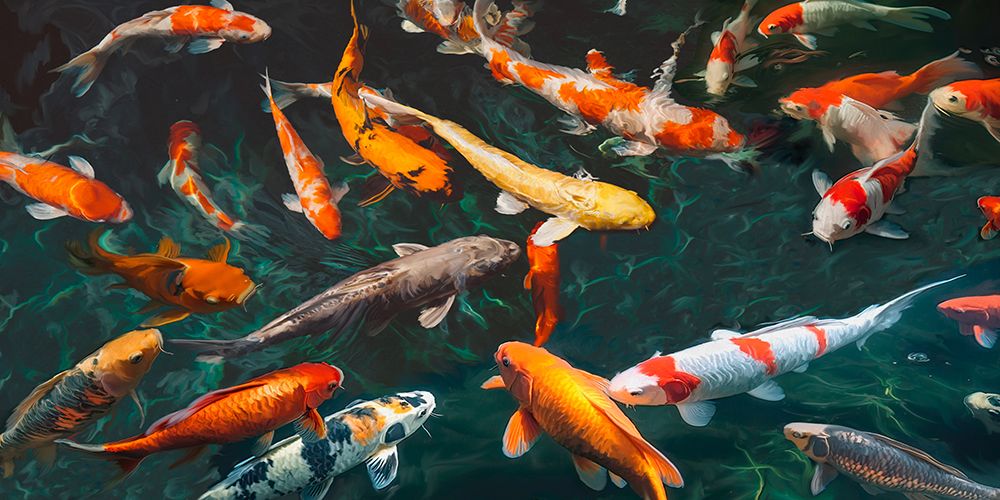 Pond with Koi-Fish (detail) art print by Teo Rizzardi for $57.95 CAD