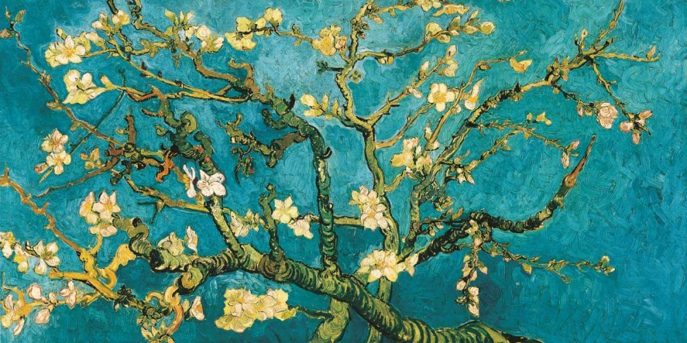 Mandorlo in fiore art print by Vincent Van Gogh for $57.95 CAD
