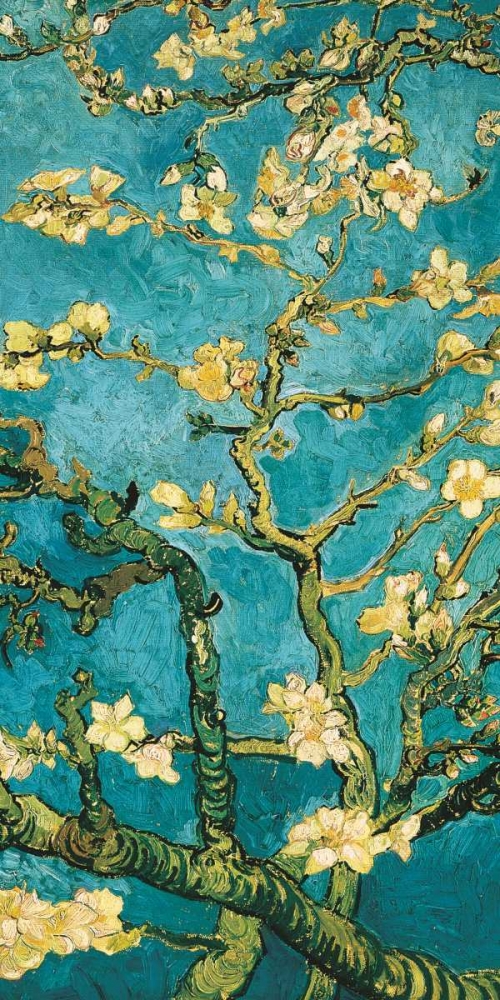 Mandorlo in fiore II art print by Vincent Van Gogh for $57.95 CAD
