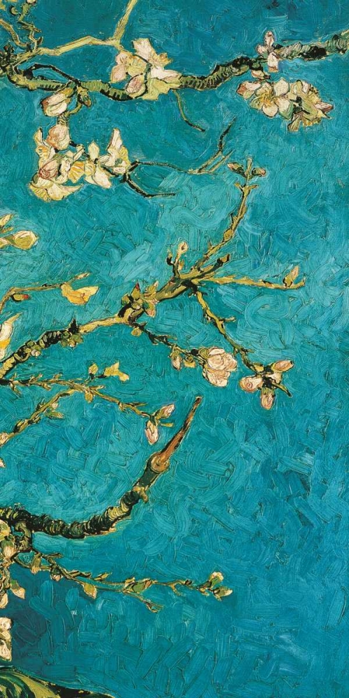 Mandorlo in fiore III art print by Vincent Van Gogh for $57.95 CAD