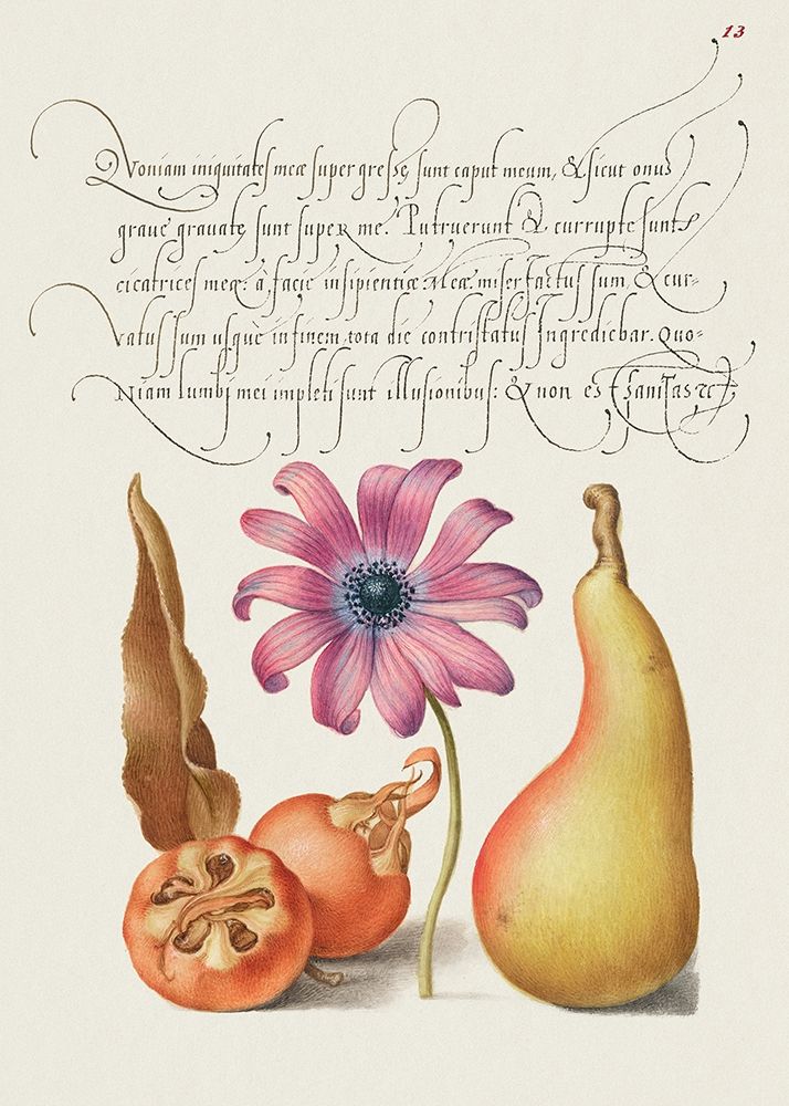 From the Model Book of Calligraphy-VIII art print by Bocskay Hoefnagel for $57.95 CAD