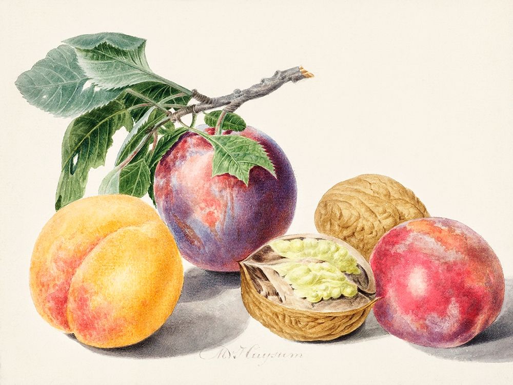 Fruits I art print by Michiel van Huysum for $57.95 CAD