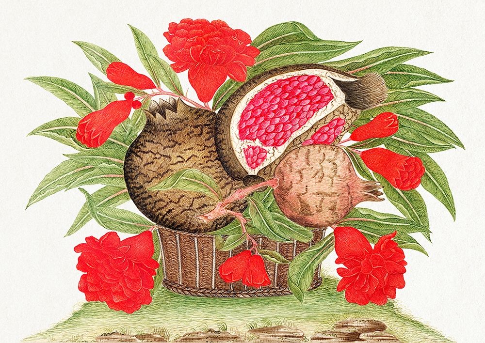 Basket of pomegranates art print by Anonymous for $57.95 CAD