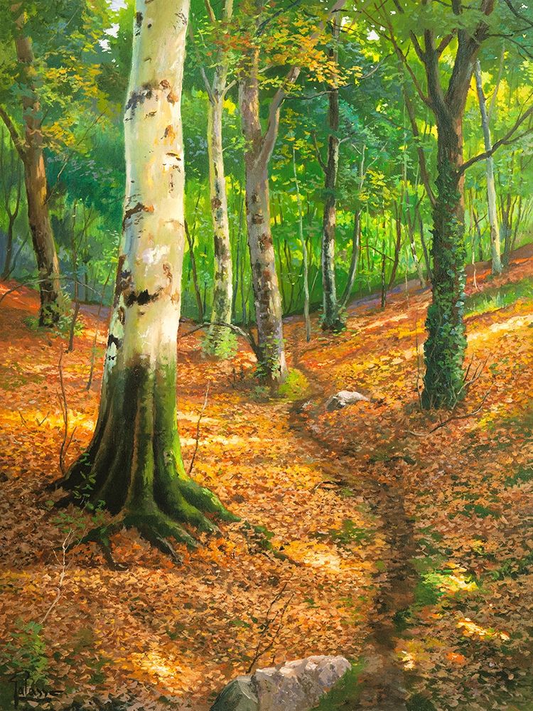 Sentiero nel bosco art print by Adriano Galasso for $57.95 CAD