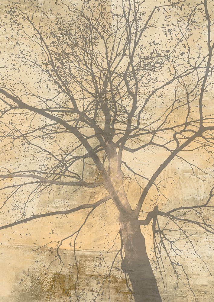 Below My Tree I art print by Alessio Aprile for $57.95 CAD