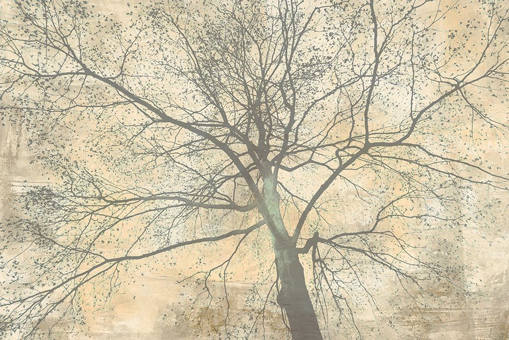 Below My Tree II art print by Alessio Aprile for $57.95 CAD