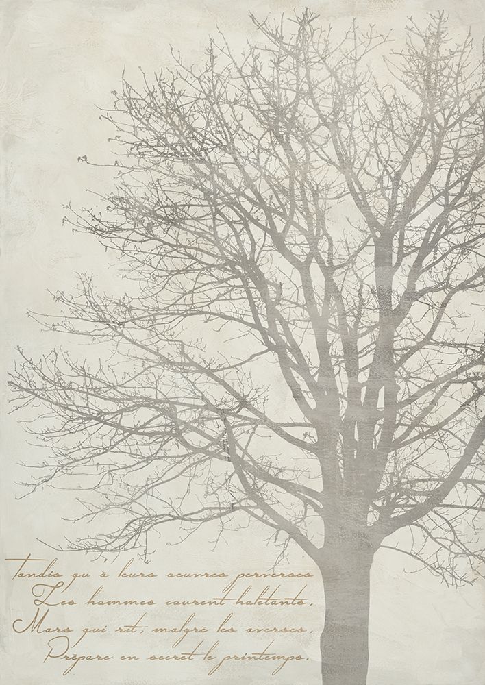 Gautiers Tree II art print by Alessio Aprile for $57.95 CAD