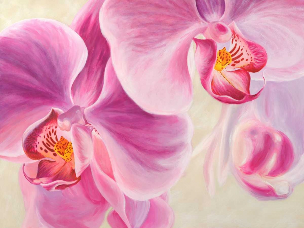 Purple Orchids art print by Cynthia Ann for $57.95 CAD