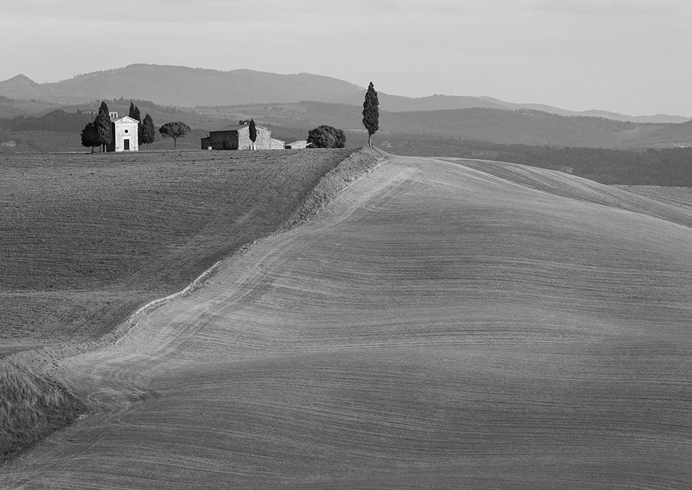 Val dOrcia-Siena-Tuscany (BW) art print by Pangea Images for $57.95 CAD