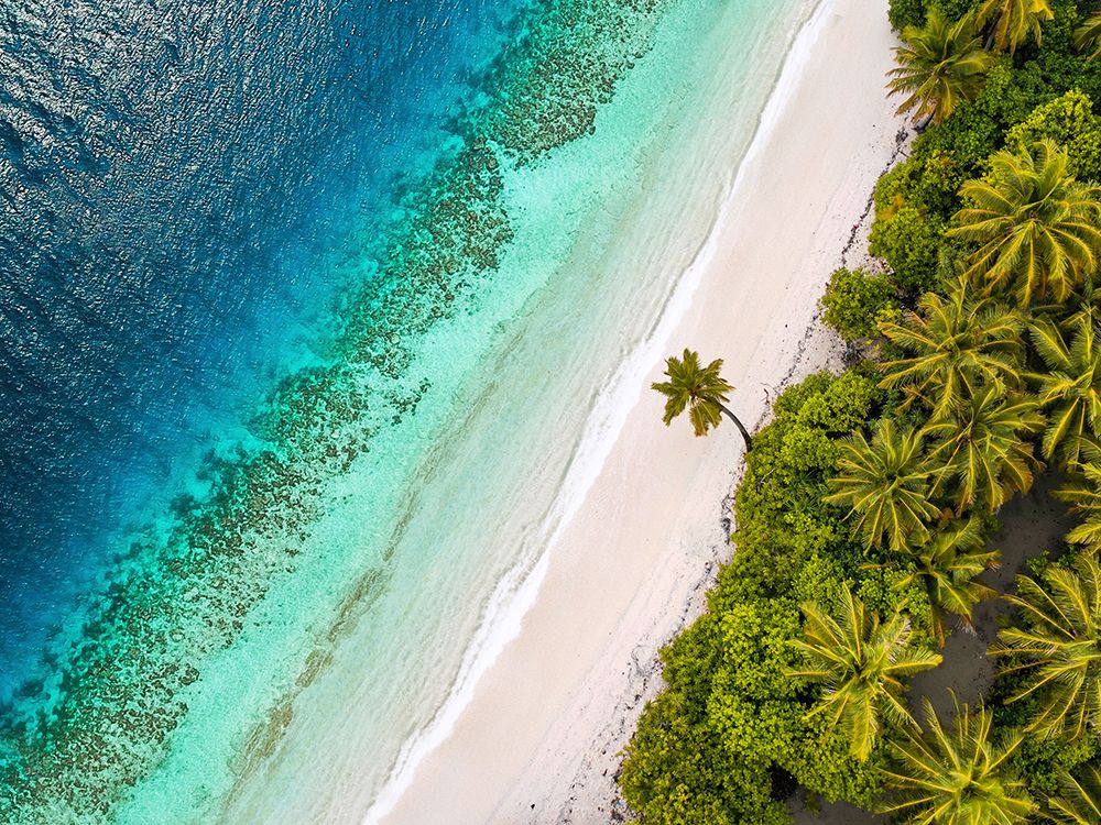 Tropical Beach, Aerial View art print by Pangea Images for $57.95 CAD