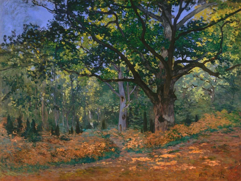 The Bodmer Oak Fontainebleau Forest art print by Claude Monet for $57.95 CAD