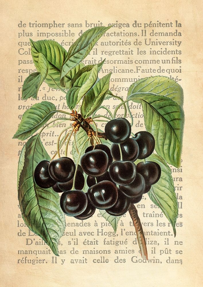 Cherries- After J. Wright art print by Remy Dellal for $57.95 CAD