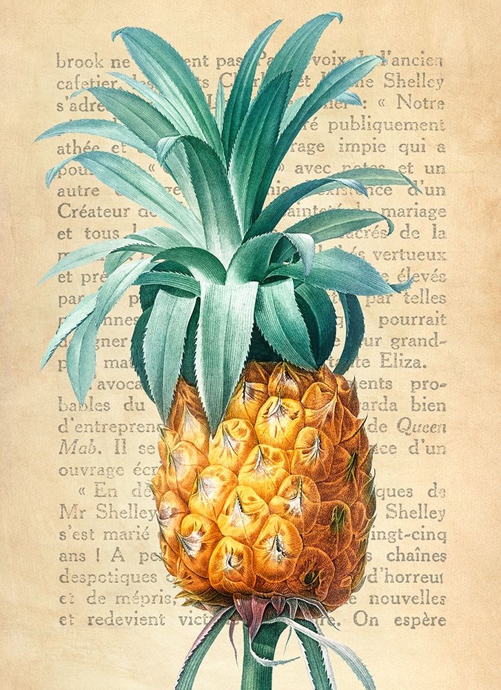 Pineapple- After Redoute art print by Remy Dellal for $57.95 CAD