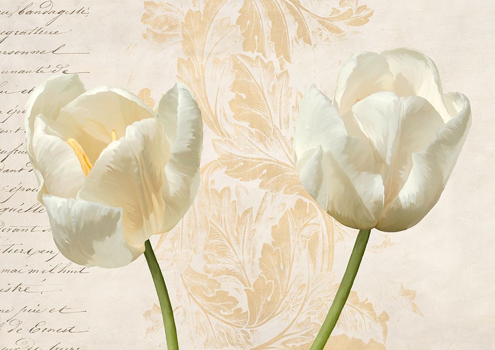 Two Tulips art print by Elena Dolci for $57.95 CAD