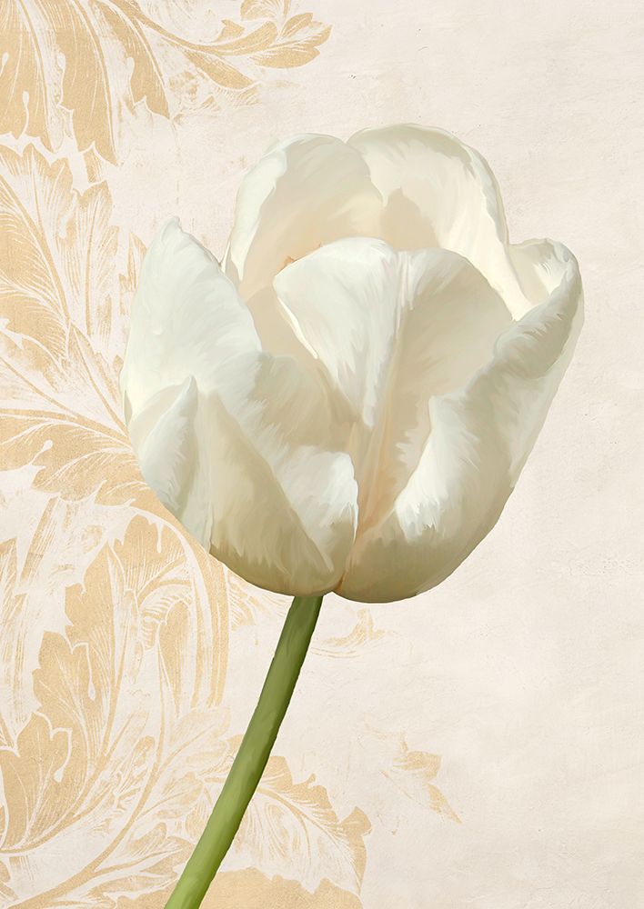 Tulip II art print by Elena Dolci for $57.95 CAD
