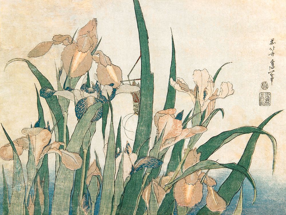 Irises and Grasshopper - 1833-1834 art print by Katsushika Hokusai for $57.95 CAD