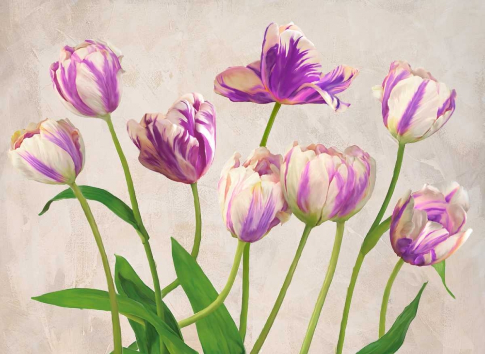 Tulipes art print by Jenny Thomlinson for $57.95 CAD