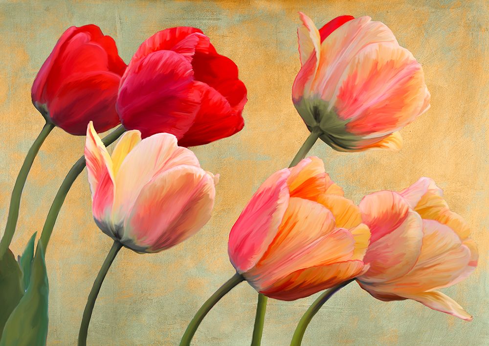Golden Tulips (detail) art print by Luca Villa for $57.95 CAD