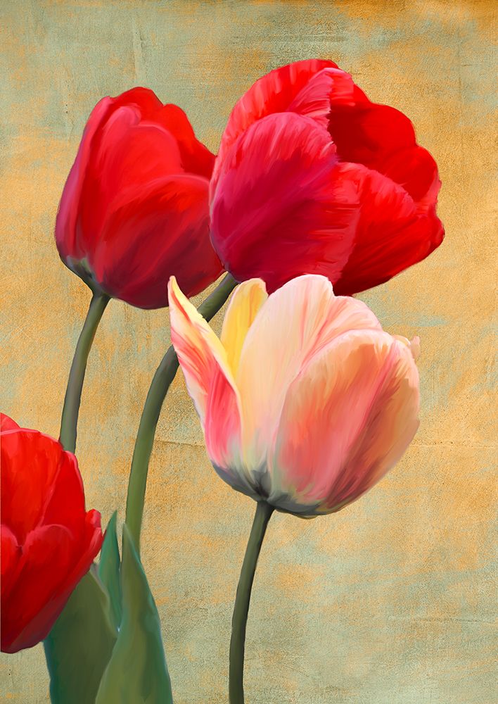Ruby Tulips art print by Luca Villa for $57.95 CAD