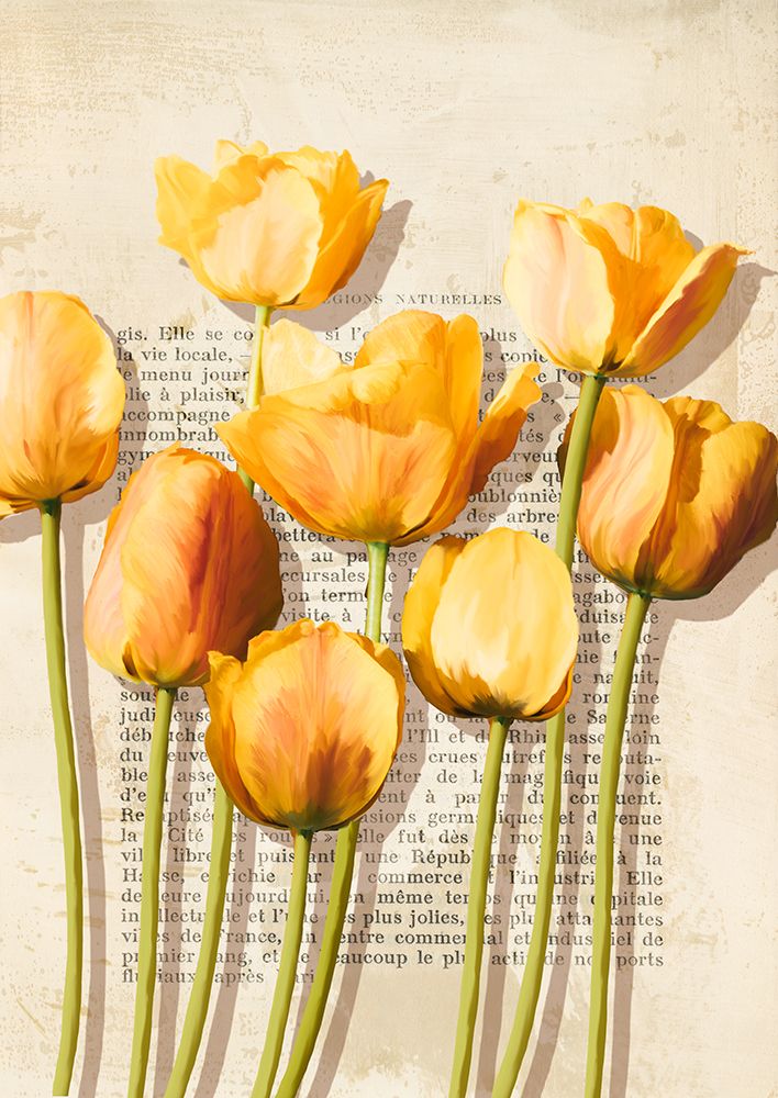 Tulipes et Histoires art print by Luca Villa for $57.95 CAD