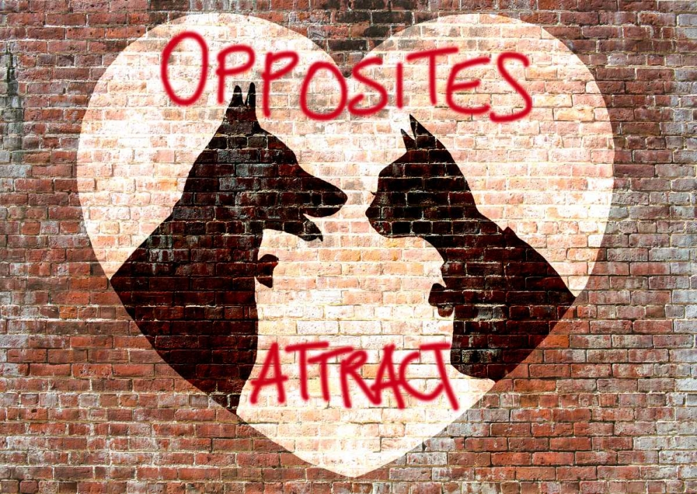 Opposites attract art print by Masterfunk Collective for $57.95 CAD