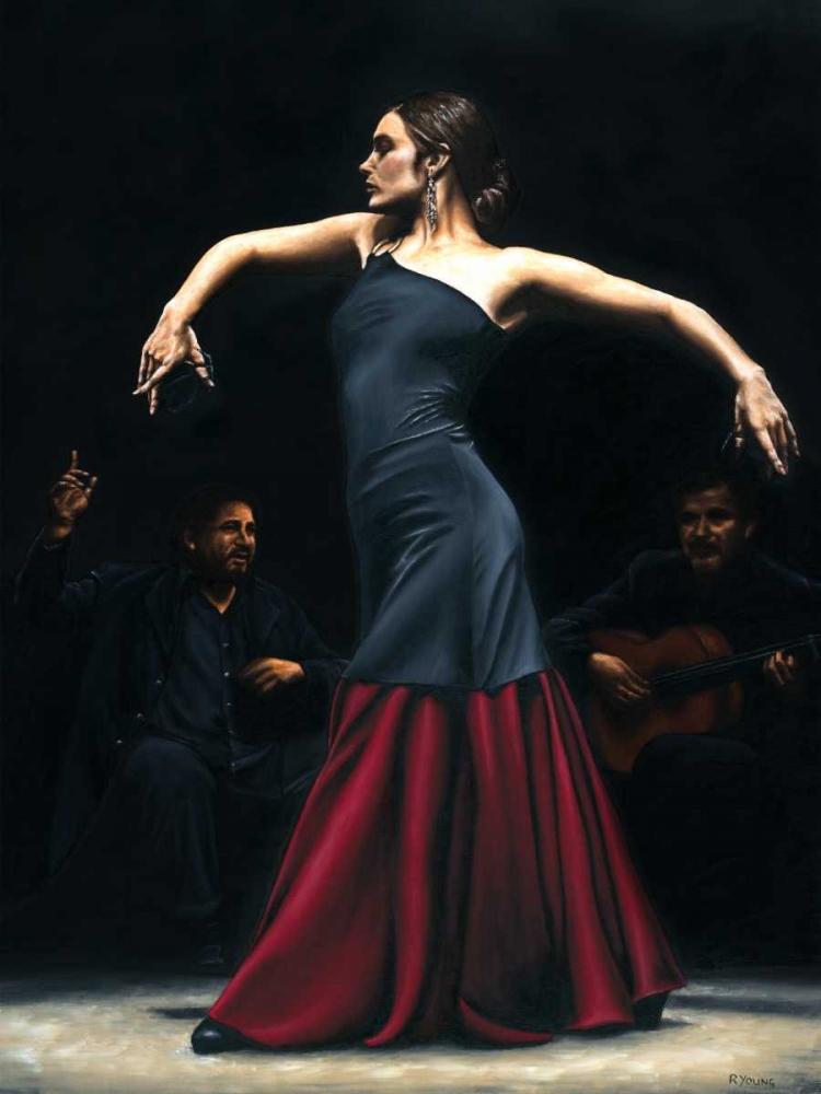 Encantado por flamenco art print by Richard Young for $57.95 CAD
