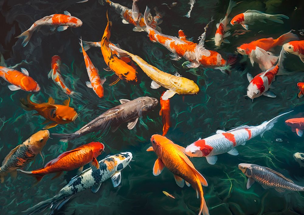 Pond with Koi-Fish art print by Teo Rizzardi for $57.95 CAD