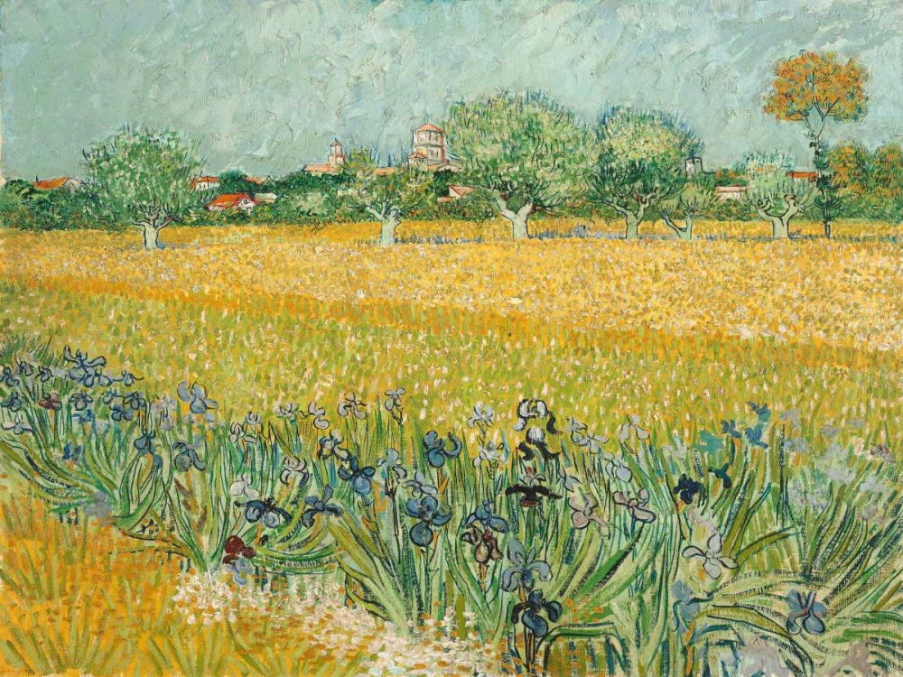 Field with Irises near Arles art print by Vincent Van Gogh for $57.95 CAD