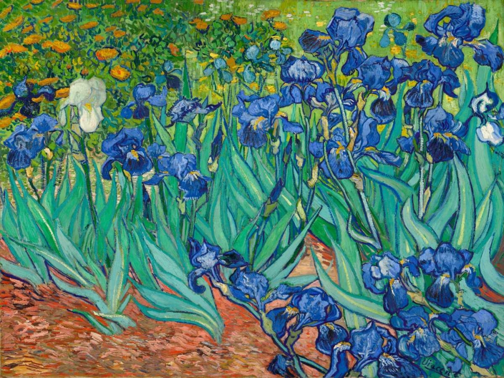 Irises art print by Vincent Van Gogh for $57.95 CAD