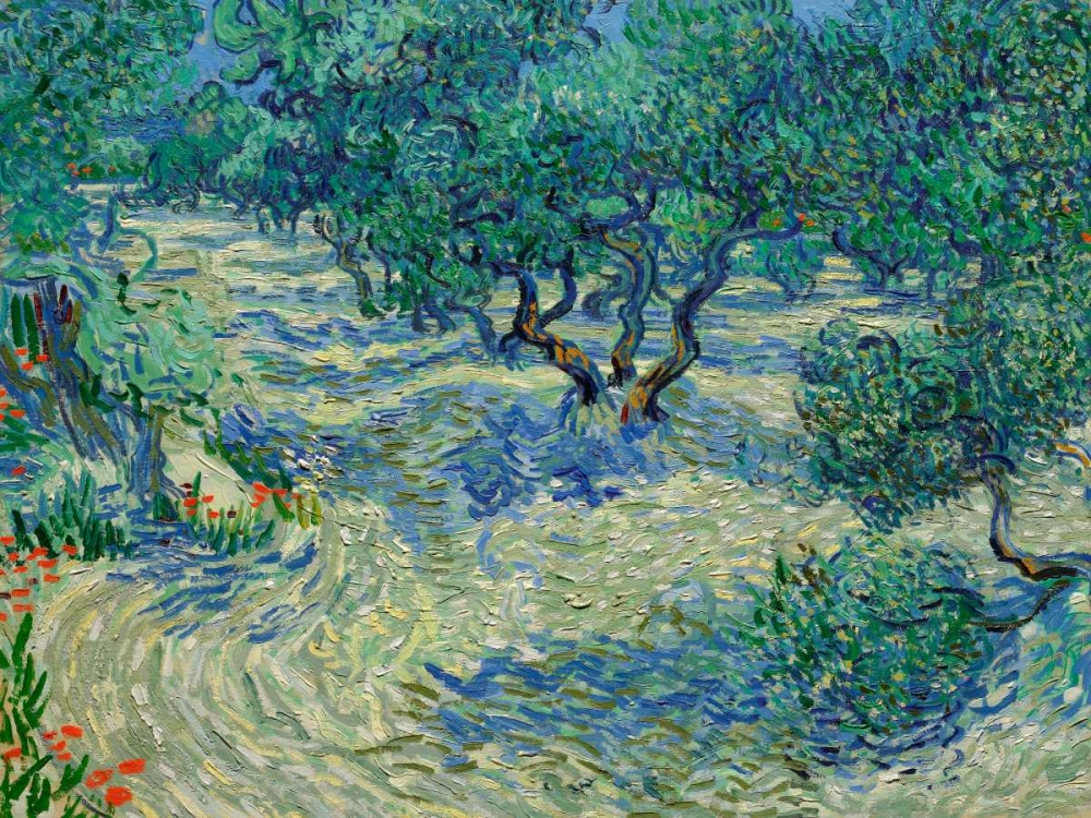 Olive Orchard art print by Vincent Van Gogh for $57.95 CAD